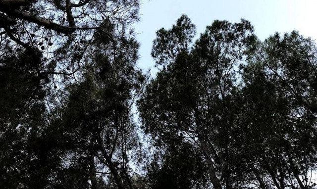 Ξαφνικά σταμάτησαν να κινούνται τα αυτοκίνητα σε χωριό στην Εύβοια