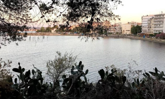 Δες τι εμφανίστηκε έξω από σπίτια στη Χαλκίδα