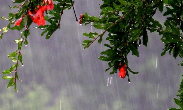 Τρίκαλα: Ισχυρή καταιγίδα με αστραπόβροντα έπληξε την περιοχή