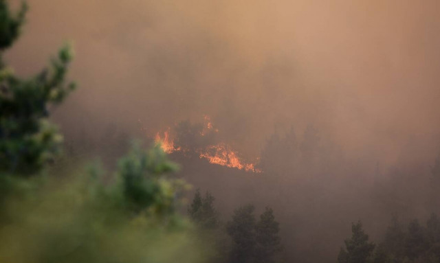 Φωτιά ΤΩΡΑ στη Σιθωνία Χαλκιδικής