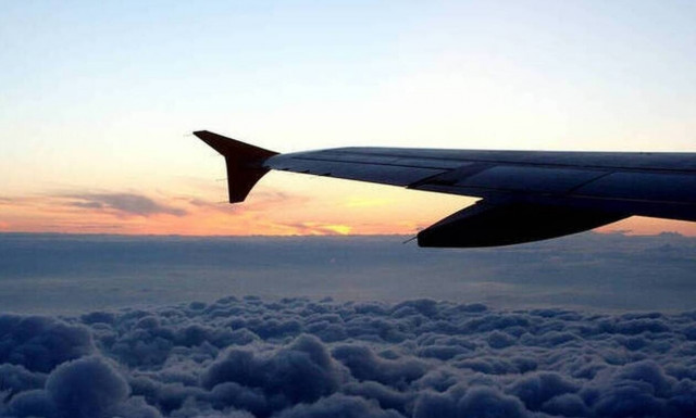 Θρίλερ! Δείτε αεροπλάνο να κάνει αναγκαστική προσγείωση σε δάσος (pics)