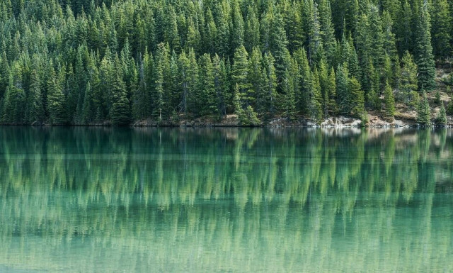 Απόκοσμο θέαμα σε λίμνη – Δείτε τι συνέβη (pics)