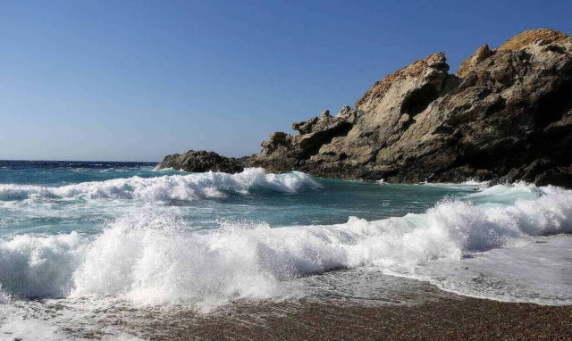 Ξέβρασε «τέρας» η θάλασσα - Έπαθαν... πλάκα με αυτό που είδαν (Pics)