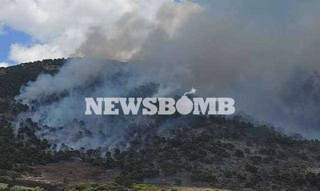 Μεγάλη φωτιά στον Ασπρόπυργο – Οι πρώτες εικόνες από το σημείο