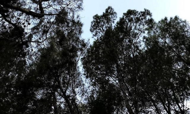 Έπαθαν πλάκα στην Εύβοια με ένα περίεργο παγκάκι!