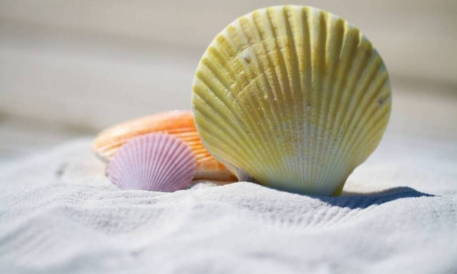 Κοινωνικός τουρισμός 2020: Πότε θα ανοίξει η πλατφόρμα για τις αιτήσεις