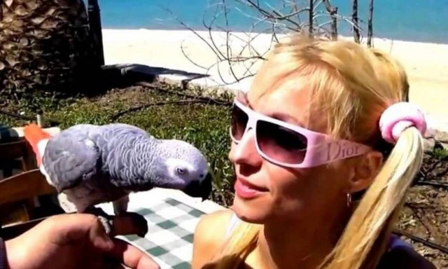 Αγαπησιάρης παπαγάλος τρελαίνει στα φιλιά την αφεντικίνα του! (video)