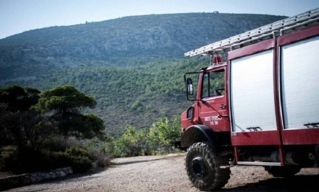 Πυρκαγιά στον Τύρναβο: Τουλάχιστον 320 πρόβατα κάηκαν στα Δελέρια