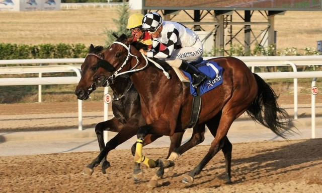 Markopoulo Park: Επιστροφή των ελληνικών ιπποδρομιών με θέαμα και κέρδη