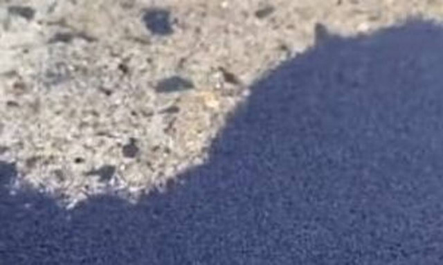 Είδε αυτό να βγαίνει από το χώμα - Κανείς δεν ξέρει τι είναι