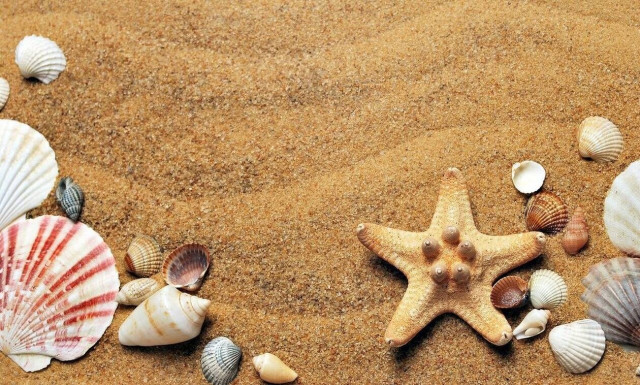 Καλοκαίρι: Το doodle της Google για την καλύτερη εποχή του χρόνου