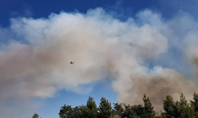 Large fire at Martinos area near Athens-Lamia National Road under control
