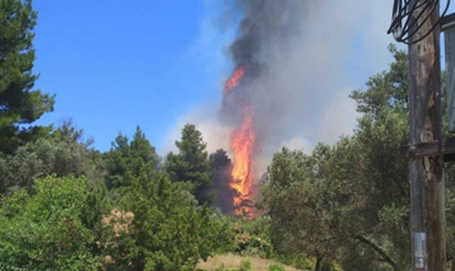 Φωτιά ΤΩΡΑ στην Εύβοια - Προκλήθηκε από κεραυνό (Pics)