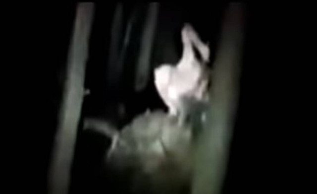 Αγρότης ήρθε πρόσωπο με πρόσωπο με απόκοσμο πλάσμα – Έτρεχε να σωθεί (pics)