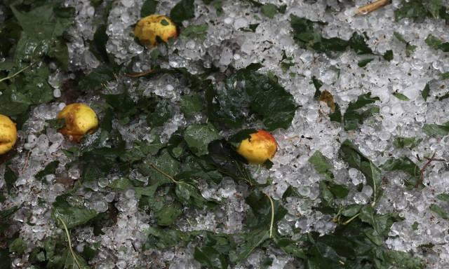 Κακοκαιρία: Καταστροφές σε καλλιέργειες στα Μεσόγεια - Απίστευτες εικόνες