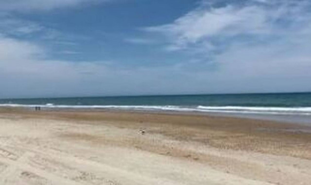 Τρόμος για πατέρα και γιο: Δείτε τι τους επιτέθηκε στη θάλασσα (pics)