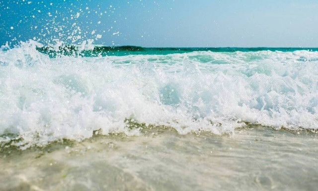 Τρόμος σε παραλία! Άντρας βρέθηκε αγκαλιά με καρχαρία - Εντυπωσιακές Εικόνες