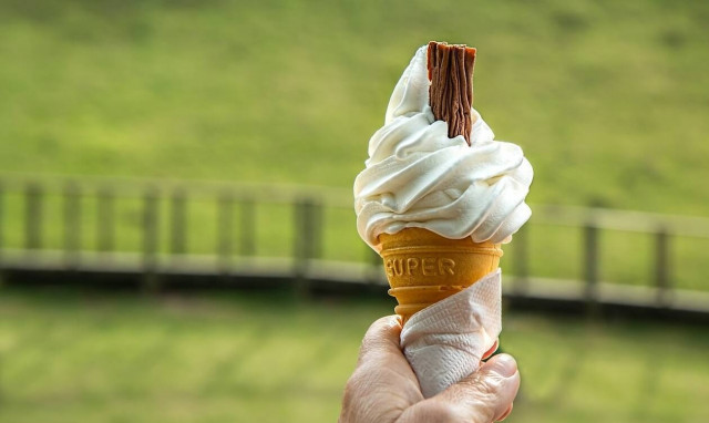 Τρόμος! Έτρωγε το παγωτό του – Ξαφνικά αντίκρισε κάτι δίπλα του (pics)