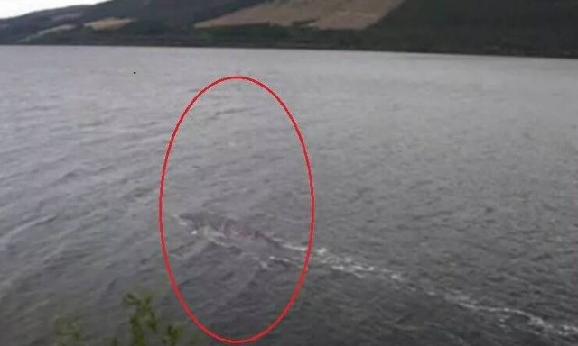 Βρήκαν το τέρας του Λοχ Νες; Νέες φωτογραφίες-ντοκουμέντα (pics)