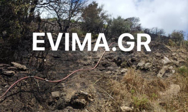Εύβοια: Υπό έλεγχο η φωτιά στην Κάρυστο