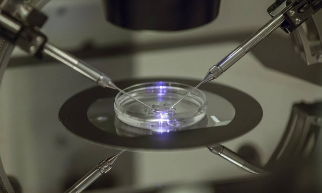 Τράπεζα για πλεονάζοντα κρυοσυντηρημένα γονιμοποιημένα ωάρια – Στο υπουργείο Υγείας η πρόταση 