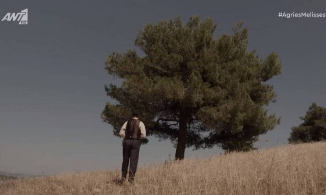 Άγριες Μέλισσες spoiler: Τι συνέβη στον Μελέτη - Συγκλονιστικά τα επόμενα επεισόδια