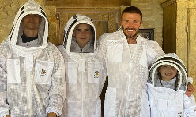 Οι… μελισσοκόμοι Beckham! (pic & vid)
