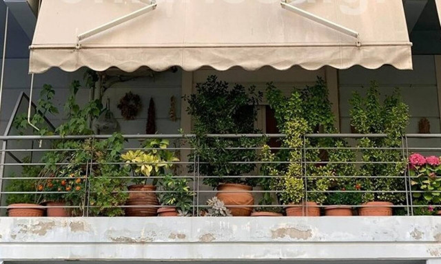 Λάρισα: Δεν πίστευαν στα μάτια τους περαστικοί - Τι είδαν σε μπαλκόνι