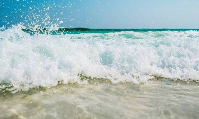 Απόκοσμες εικόνες σε παραλία ξενοδοχείου - Ούρλιαζαν οι τουρίστες (pics)