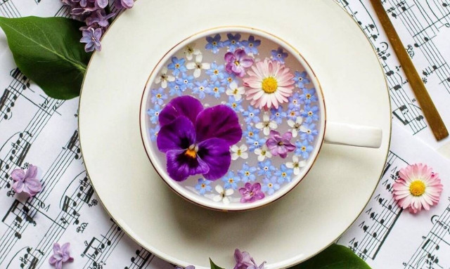 Γιατί το instagram έχει γεμίσει με ανθισμένες κούπες