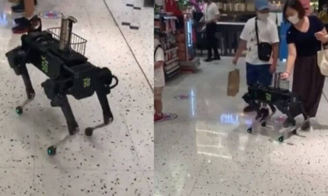 Ρομπότ-σκύλος πλησιάζει τους πελάτες και τους εντυπωσιάζει! (vid)
