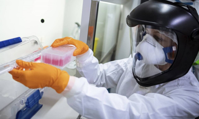 Άνοιγμα τουρισμού - Γώγος: Είναι σίγουρο ότι θα αυξηθούν τα κρούσματα