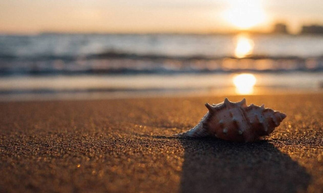 Επίδομα αδείας 2020: Υπολογίστε τις μέρες και τα χρήματα που δικαιούστε 