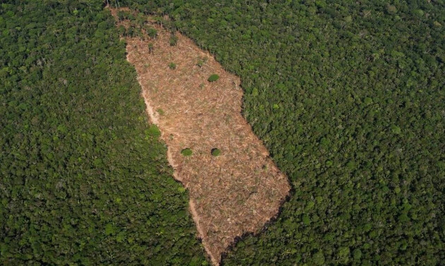 Βραζιλία: Φωτιές - ρεκόρ στον Αμαζόνιο τον Ιούνιο