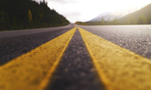 Έκπληκτοι οι οδηγοί - Ο αυτοκινητόδρομος γέμισε με γουρούνια (pics)