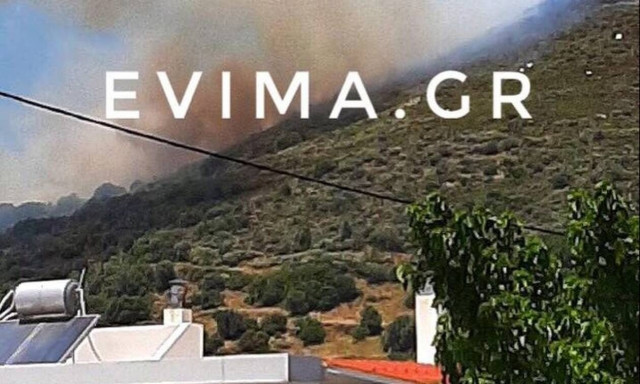 Κάρυστος: Συνελήφθη γυναίκα για εμπρησμό - Υπό μερικό έλεγχο η φωτιά