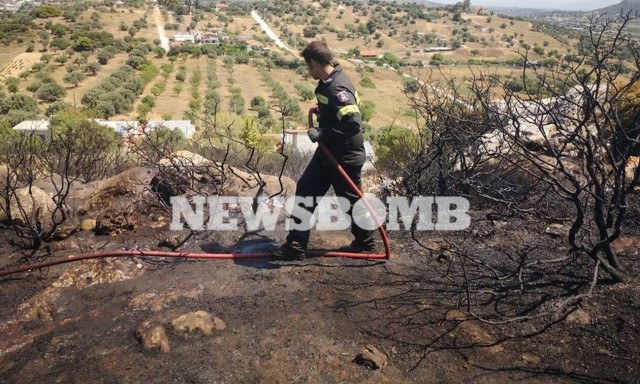 Σπάτα: Υπό έλεγχο η φωτιά που έκαψε δασική έκταση