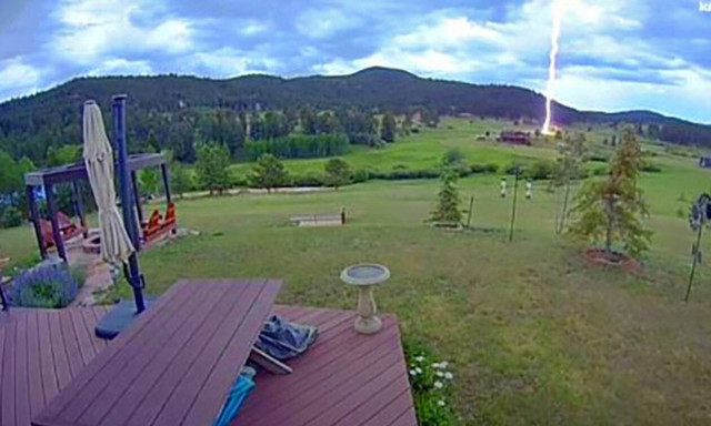 Απολαμβάνουν το μπάρμπεκιου και από το πουθενά… μπαμ! (video)