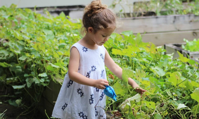 Τι να κάνουν τα παιδιά που δεν θα πάνε διακοπές;