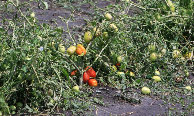 Λάρισα: Συγκλονιστικές εικόνες από τις καταστροφές που προκάλεσε η κακοκαιρία