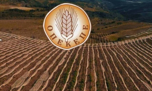 ΟΠΕΚΕΠΕ: Νέα πληρωμή σε αγρότες - Δείτε ΕΔΩ τα ποσά 