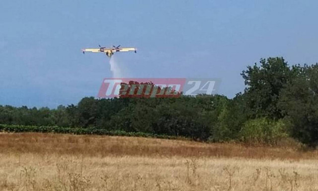 Φωτιά ΤΩΡΑ στην Κάτω Αχαΐα - Ισχυρές δυνάμεις της Πυροσβεστικής