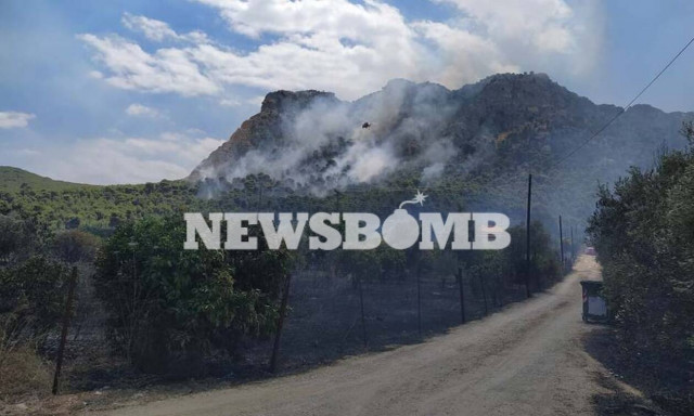 Φωτιά ΤΩΡΑ: Συναγερμός στις Κεχριές Κορινθίας - Εκκενώθηκε κατασκήνωση
