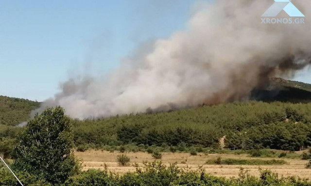 Φωτιά Σάπες: Χωρίς ενεργό μέτωπο η πυρκαγιά