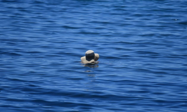 Ο καιρός σήμερα, Κυριακή 12 Ιουλίου