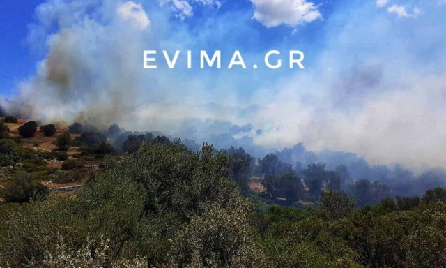 Εύβοια: Οριοθετήθηκε η φωτιά στους Ραπταίους Καρύστου