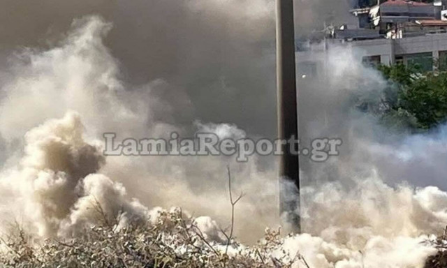 Λαμία: Μάχη με τις φλόγες μέσα στην πόλη (pics & vid)