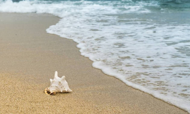 Επίδομα αδείας: Πότε θα καταβληθεί - Πόσα χρήματα θα πάρετε