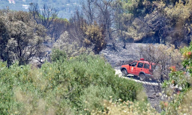 Πολύ υψηλός ο κίνδυνος πυρκαγιάς την Πέμπτη (χάρτης)