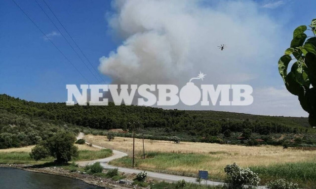 Φθιώτιδα: Υπό πλήρη έλεγχο μετά από πολύωρη μάχη η μεγάλη φωτιά στο Θεολόγο